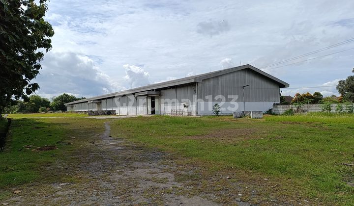 Gudang Cikande Rangkas Bitung Serang Siap Pakai Ada Mess Gudang Cikande Rangkas Bitung Serang Siap Pakai Ada Mess