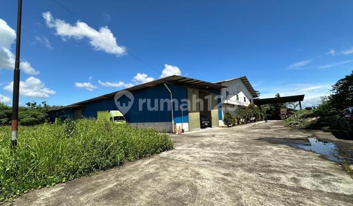 Ex Pabrik dan Gudang Tigaraksa Ada Office dan Mess Karyawan Ex Pabrik dan Gudang Tigaraksa Ada Office dan Mess Karyawan