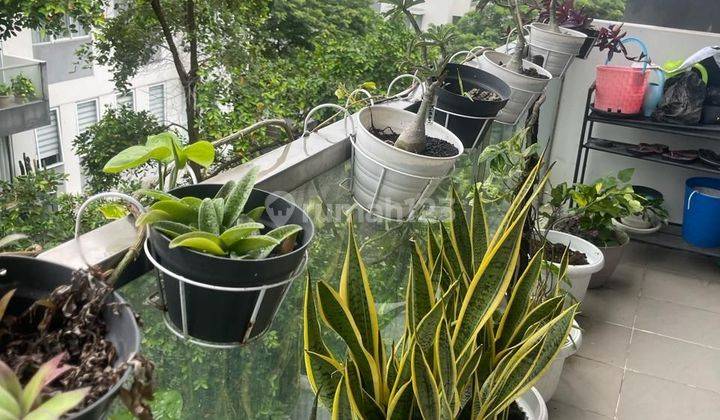 Apartemen 3br Full Furnish Di Rainbow Spring Gading Serpong 2