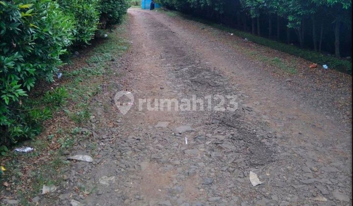 Gudang Mandiri Bitung Bisa Industri Area Parkir Luas Gudang Mandiri Bitung Bisa Industri Area Parkir Luas