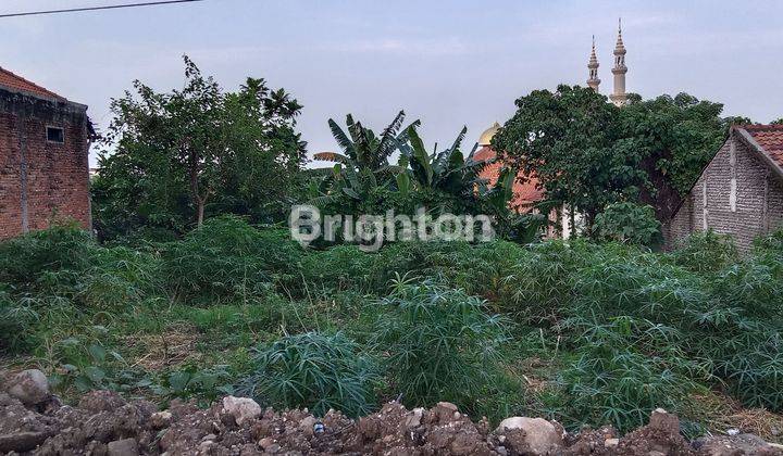 TANAH KOSONG STRATEGIS   COCOK UNTUK  PENGINAPAN  GUEST HOUSE   GUDANG  PINGGIR JALAN  RAYA  SEMARANG  KENDAL 2