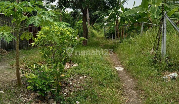 Lahan 4ha Dkt Tol Brebes Timur Dan Adiwerna Tegal Shm Strategis 1