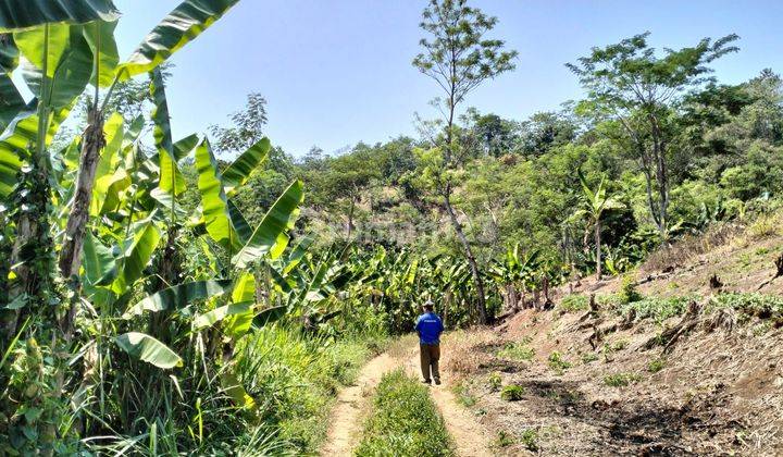 Tanah Bukit Jonggol Cianjur 500ha Strategis Bagus  1