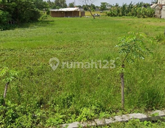 Land for Sale in Lemo Village, Teluk Naga, Next to the Village Office, Near the Roadside