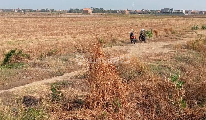 Tanah 5ha kawasan Industri Jalingkut Brebes Lingkar Utara 1