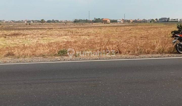 Tanah 5ha kawasan Industri Jalingkut Brebes Lingkar Utara 2