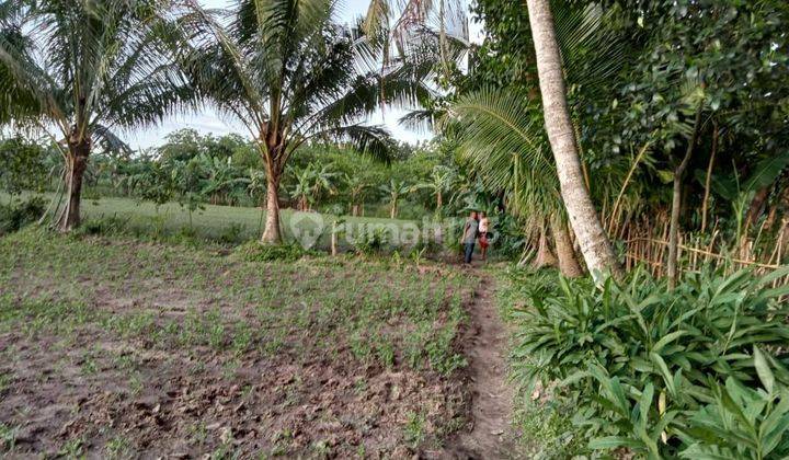 Lahan 4ha Serang Kel Walantaka Tegalsari Banten Shm 1