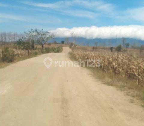 Lahan 10ha Lebar Muka 70m Kubangsari Brebes Jateng 1