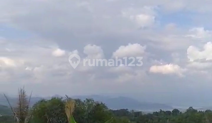 Tanah Di Cianjur 15 Ha Lokasi Strategis Jalan Pemda/kabupaten 