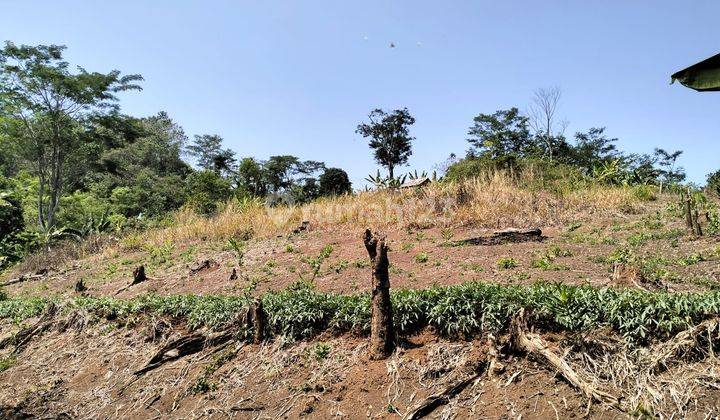 Tanah Bukit Jonggol Cianjur 500ha Strategis Bagus  2