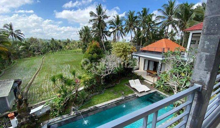 Hot List Di Jual Villa View Sawah Lokasi Ubud Gianyar 1