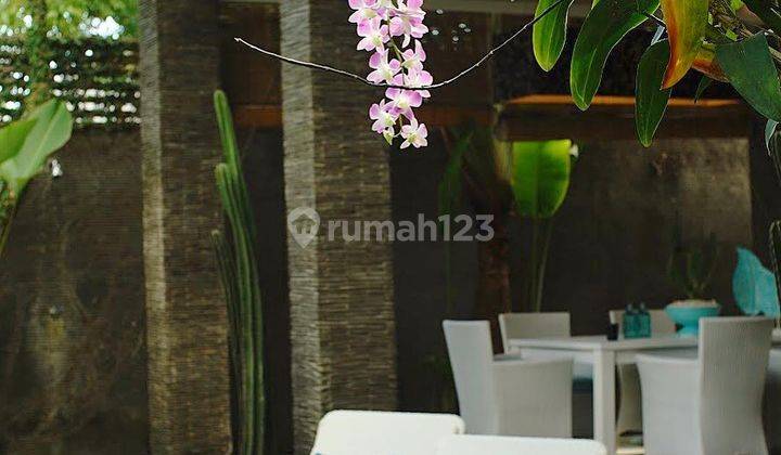 Hot List of Villas for Sale in Taman Sari Kerobokan, North Kuta 2