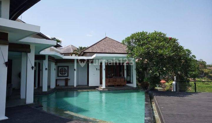 Hot List of Villas for Sale in Padonan Canggu, North Kuta 2