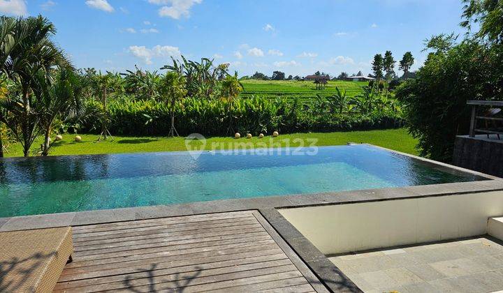 Hot List of Villas for Sale in Tuka Dalung Badung Location 2