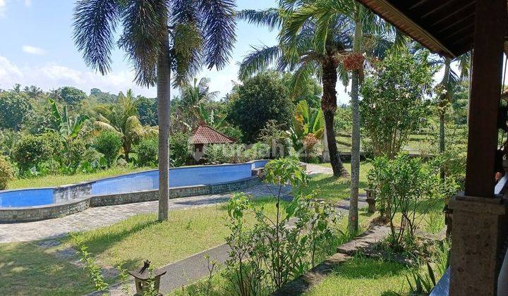 Hot List Di Jual Villa Lokasi Batuan Sukawati Gianyar 2