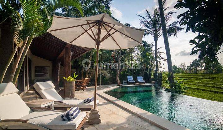 Hot List Di Jual Villa Lokasi Brawa Canggu Kuta Utara 1