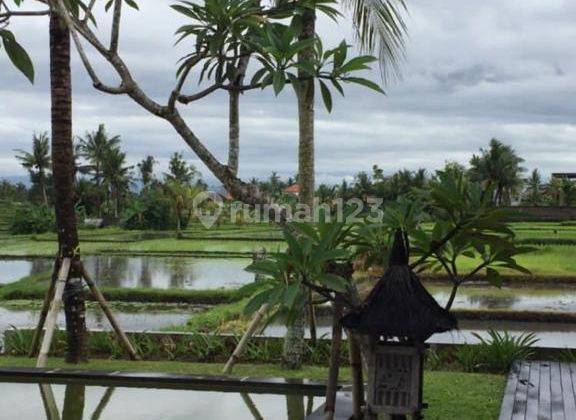 Hot List for Sale Villa Joglo View Rice Fields Beraban Singing Location Kediri Tabanan 2