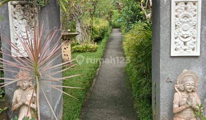 Hot List Di Jual Villa Lokasi Kedisan Tegallalang Ubud 2