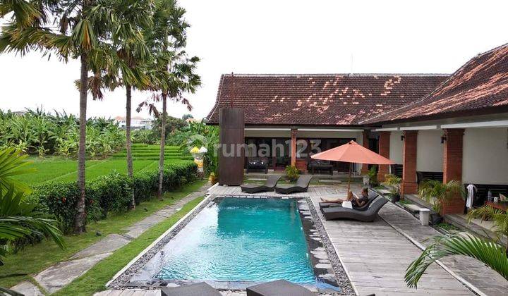 Hot List of Guesthouses for Sale in Babakan Canggu Location 2