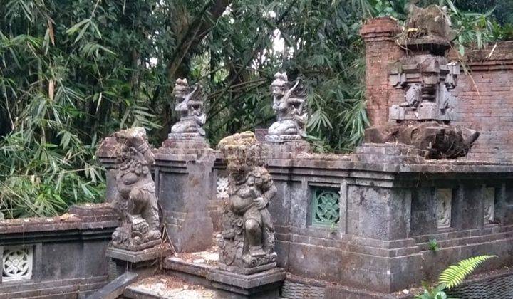 Hot List Di Jual Tanah Bonus Villa Mangkrak Lokasi Keliki Tegallalang Ubud Gianyar 2