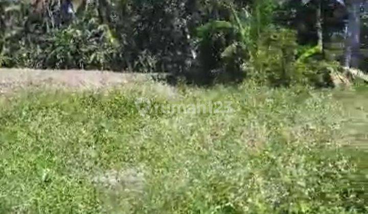 Hot List Land for sale in Ubud Gianyar 2