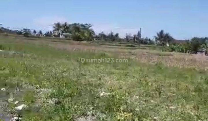 Hot List Land for sale in Ubud Gianyar 1