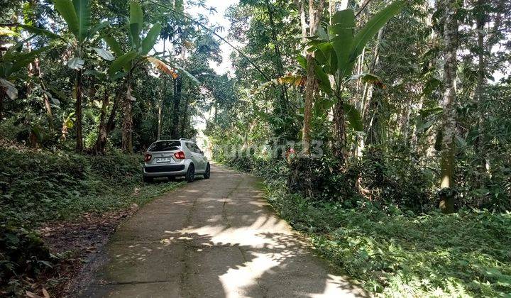 Hot List Di Jual Tanah Loss Sungai View Sungai Gunung Lokasi Telaga Sideman Karangasem 2