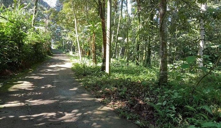 Hot List Di Jual Tanah Loss Sungai View Sungai Gunung Lokasi Telaga Sideman Karangasem 1