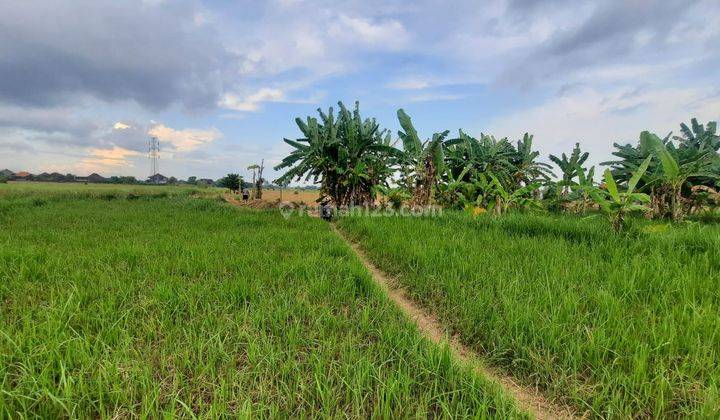 Hot List Land for sale in Lodtunduh Ubud Gianyar 1