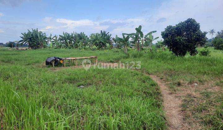 Hot List Land for sale in Lodtunduh Ubud Gianyar 2