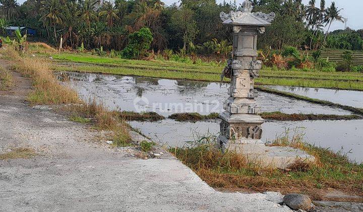 Hot List Land for sale in Sanyyi Beraban Kediri Tabanan 2