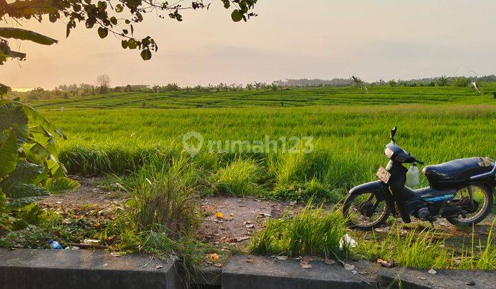 Hot List Di Jual Tanah View Sawah Lokasi Tibubiyu Kerambitan Tabanan 2