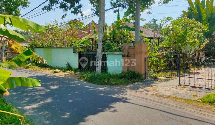 Hot List For Sale Land Bonus Building View Paddy Location Jalan Sri Wedari Ubud Gianyar 2