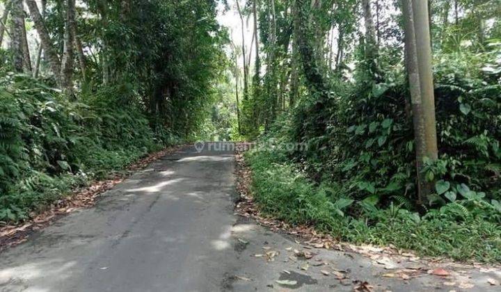 Hot List Di Jual Tanah View Hutan Lokasi Kelusa Payangan Ubud Gianyar 2