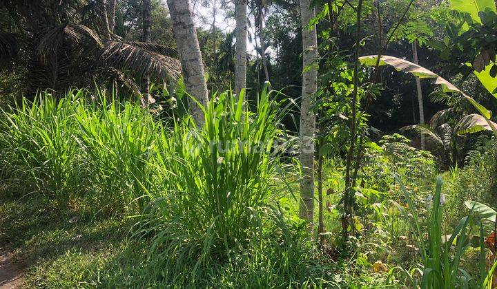 TOP URGENT DI JUAL TANAH VIEW SAWAH LOKASI PEJENG KANGIN UBUD GIANYAR 1