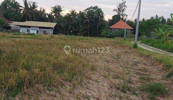 CHEAPEST HOT LIST IN ITS CLASS LAND FOR SALE IN KEMENUH UBUD GIANYAR LOCATION 1