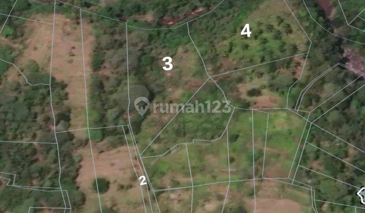 TOP URGENT LAND FOR SALE LOSS RIVER VIEW FOREST LOCATION PAYANGAN UBUD GIANYAR 2