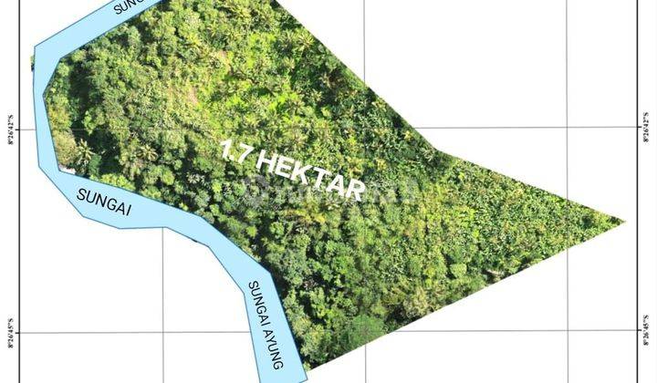 TOP URGENT LAND FOR SALE LOSS RIVER VIEW FOREST LOCATION PAYANGAN UBUD GIANYAR 1