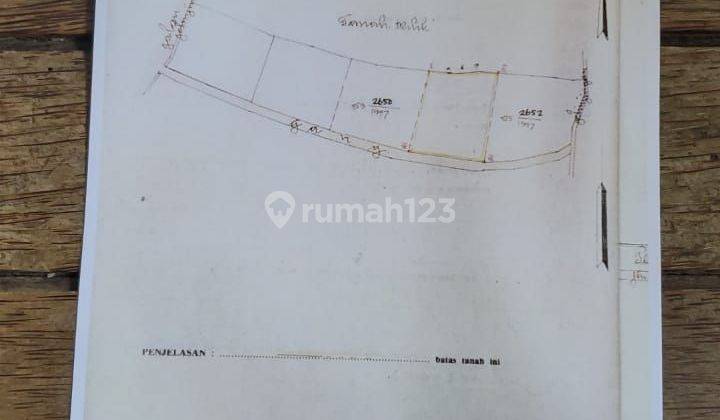 TOP URGENT LAND FOR SALE RICE VIEW LOCATION PERERENAN CANGGU KUTA UTARA BADUNG 2