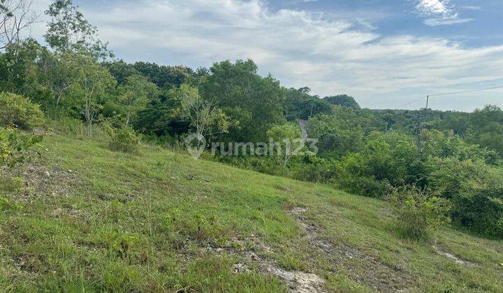 TOP URGENT LAND FOR SALE BINGIN PECATU LOCATION SOUTH KUTA BADUNG
 1