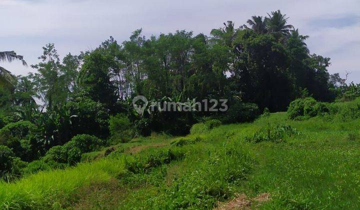 TOP URGENT LAND FOR SALE FOREST VIEW LOCATION BLUMBUNGAN ABIANSEMAL BADUNG
 1