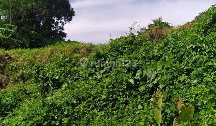 TOP URGENT LAND FOR SALE FOREST VIEW LOCATION BLUMBUNGAN ABIANSEMAL BADUNG
 2