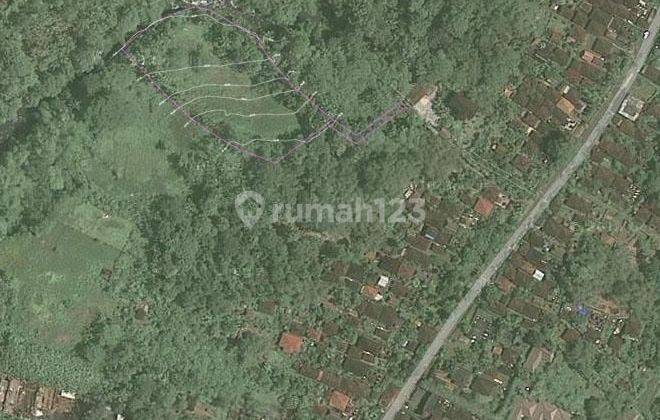 TOP URGENT LAND FOR SALE RIVER FRONT VIEW FOREST LOCATION BUWIT KEDIRI TABANAN 2