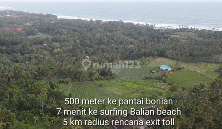 TOP URGENT LAND FOR SALE SEA VIEW LOCATION BONIAN BEACH ANTAP SELEMADEG TABANAN 1