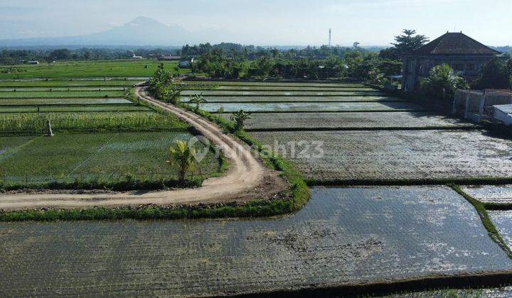 TOP URGENT FOR SALE LAND LOCATION KELATING KERAMBITAN TABANAN 2