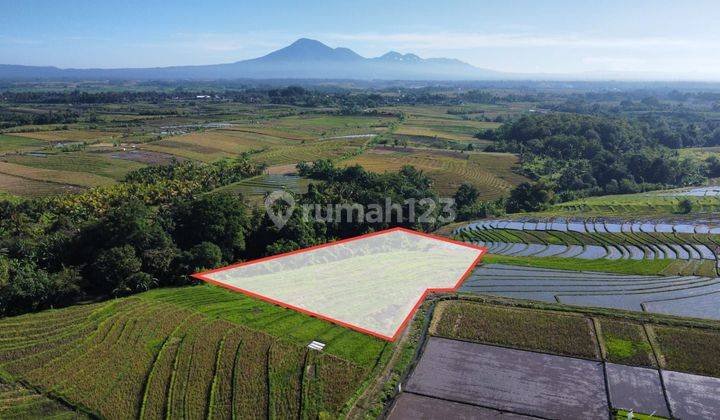 TOP URGENT FOR SALE LAND LOCATION KELATING KERAMBITAN TABANAN
 2