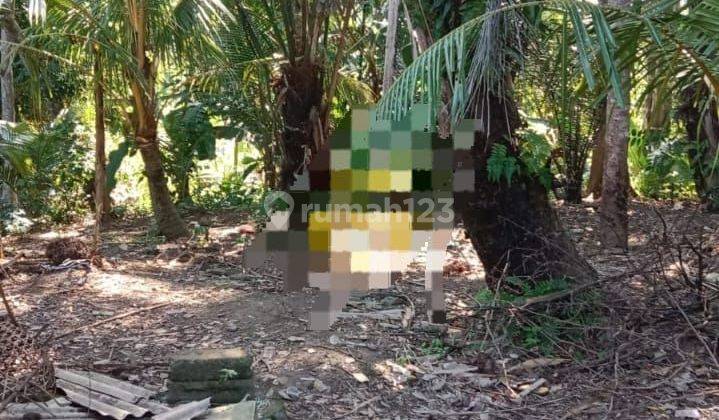 TOP URGENT DI JUAL TANAH LOSS SUNGAI LOKASI NYAMBU KABA KABA KEDIRI TABANAN 1