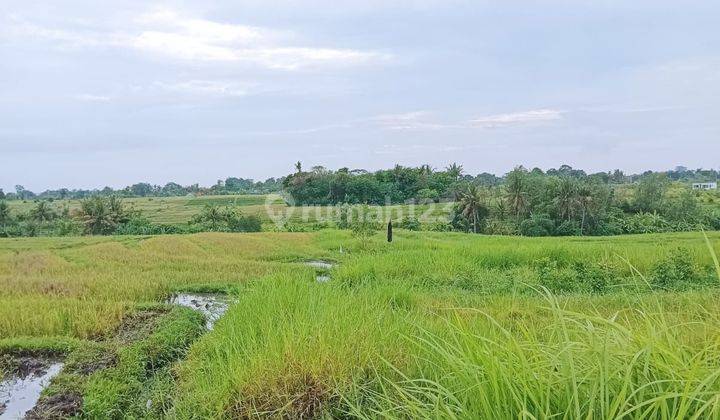 PASTI DEAL DI JUAL TANAH VIEW SAWAH PINGGIR JALAN LOKASI KABA KABA KEDIRI TABANAN  1