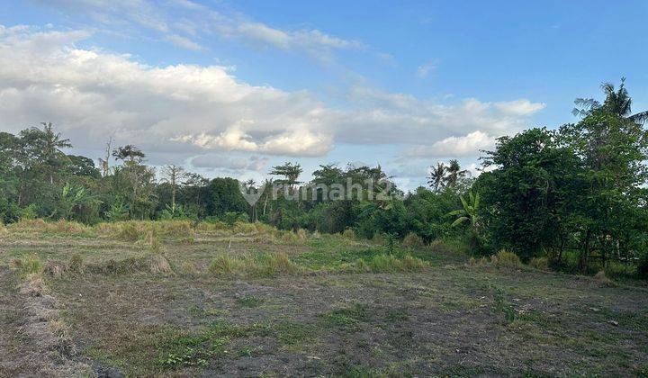 CERTAINLY CLOSING FOR RENT LAND AT BERABAN SINGING LOCATION, KEDIRI, TABANAN 1