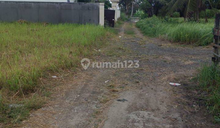 SUSUSUPER FOR SALE LAND LOCATION LODTUNDUH UBUD GIANYAR 2